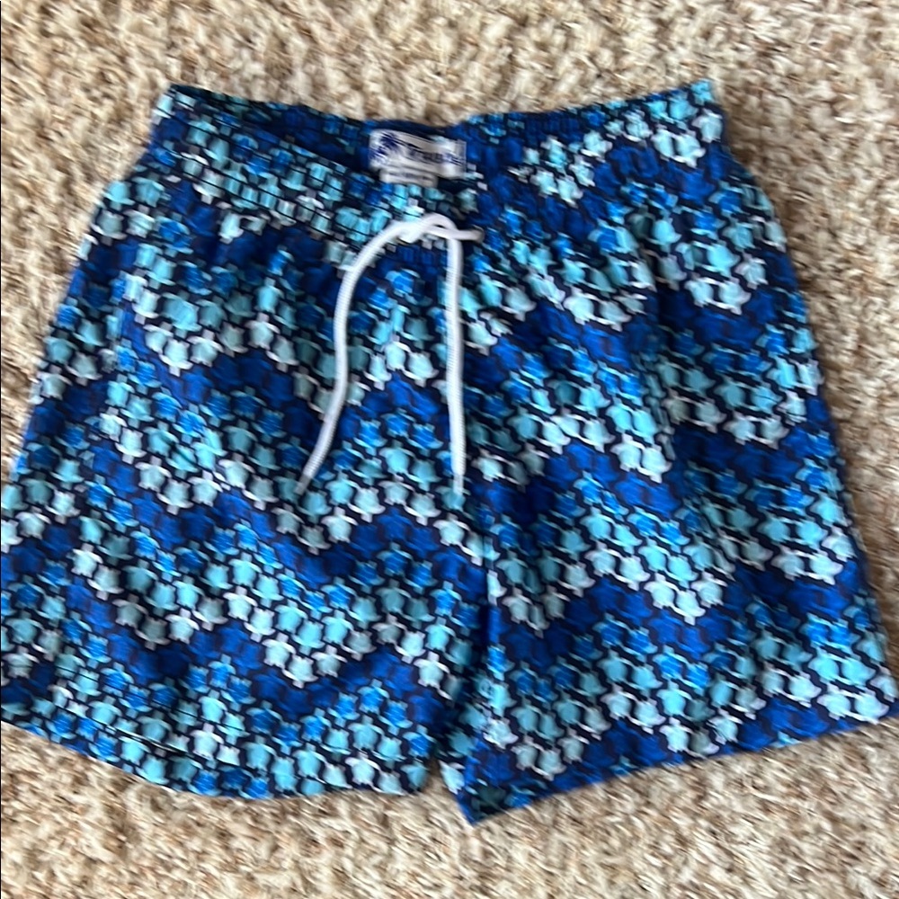 Trunks Vibrant Blue turtle patterned Swim Shorts